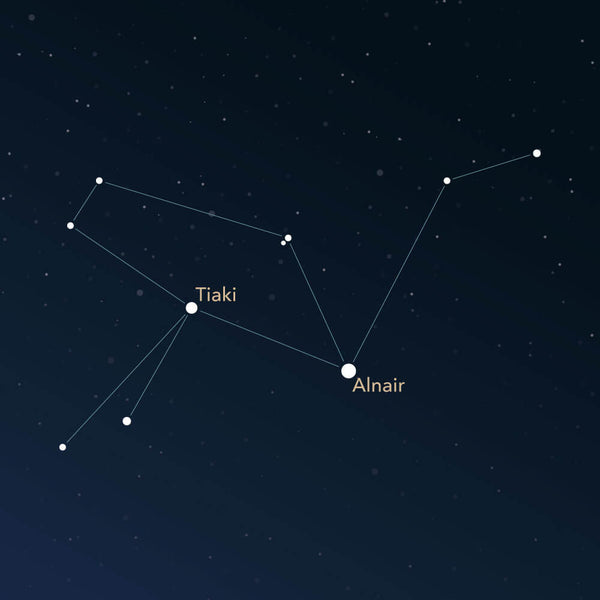 The constellation Grus